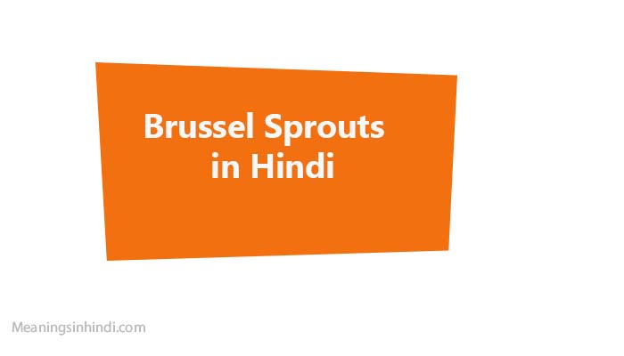 Brussel Sprouts in hindi
