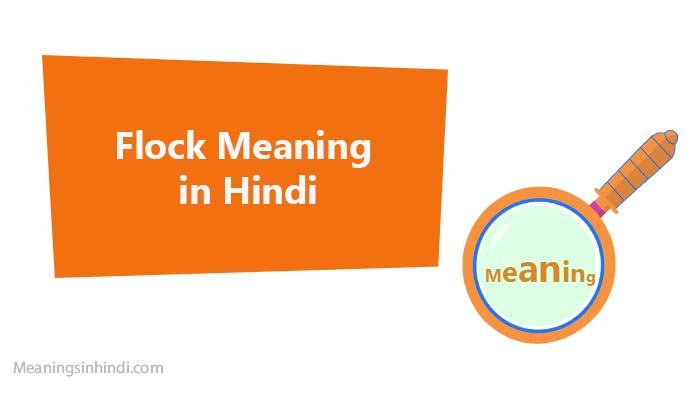 Flock Meaning in Hindi With Examples