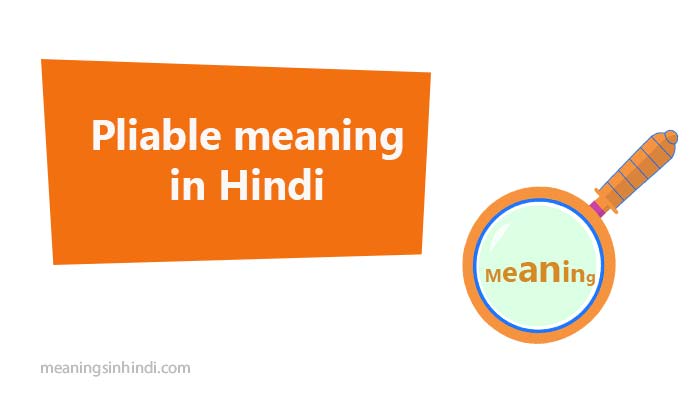 Pliable meaning in Hindi with examples -Pliable का मतलब हिन्दी में