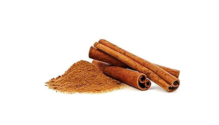 Cinnamon Meaning in Hindi – Cinnamon का मतलब हिन्दी में