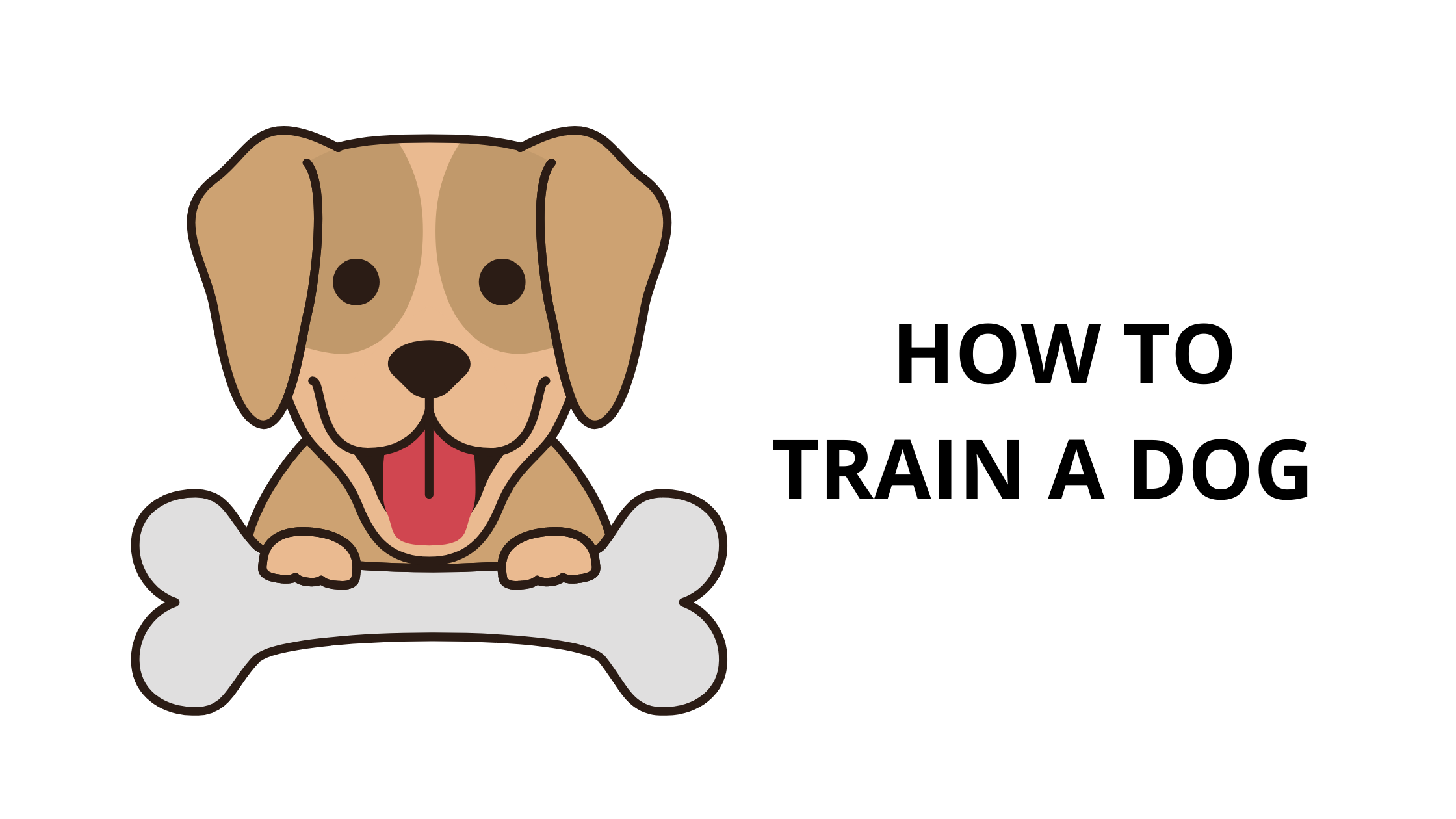 HOW TO TRAIN A DOG