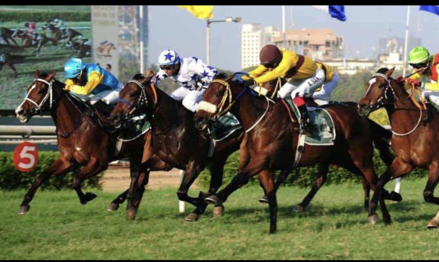 Online Horse Race Betting in India 2023 | Bet on the Races at Top Indian sites